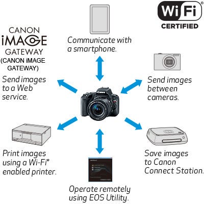 Built-in Wi-Fi® Capability