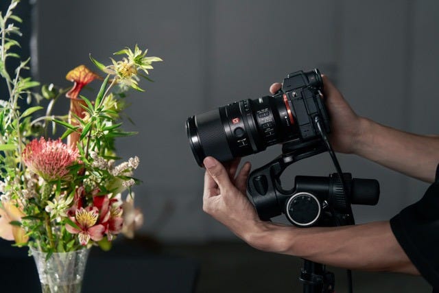 Sony FE 100mm Macro Lens focus response