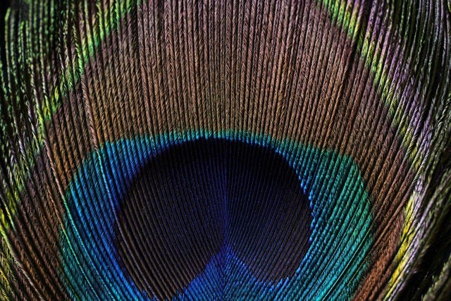 Sony FE 100mm Macro Lens resolution