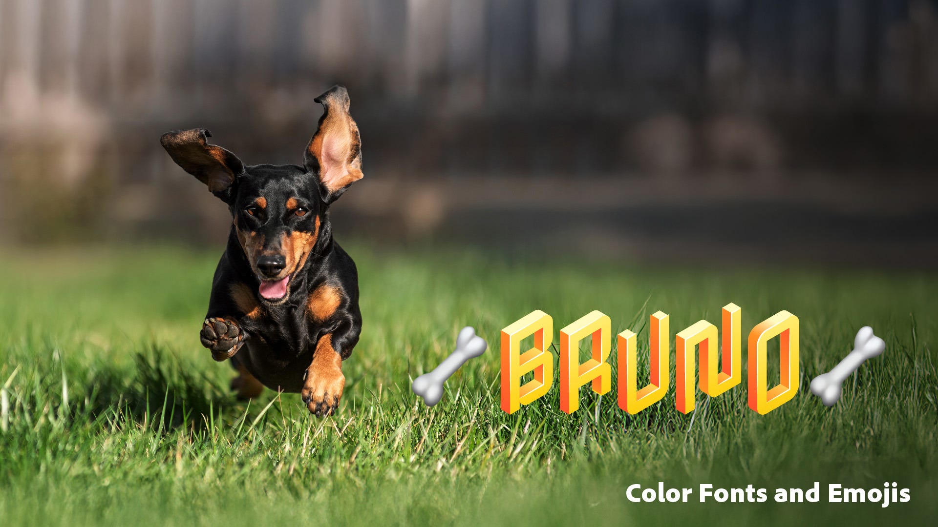Adobe Premiere Elements 2026 color fonts