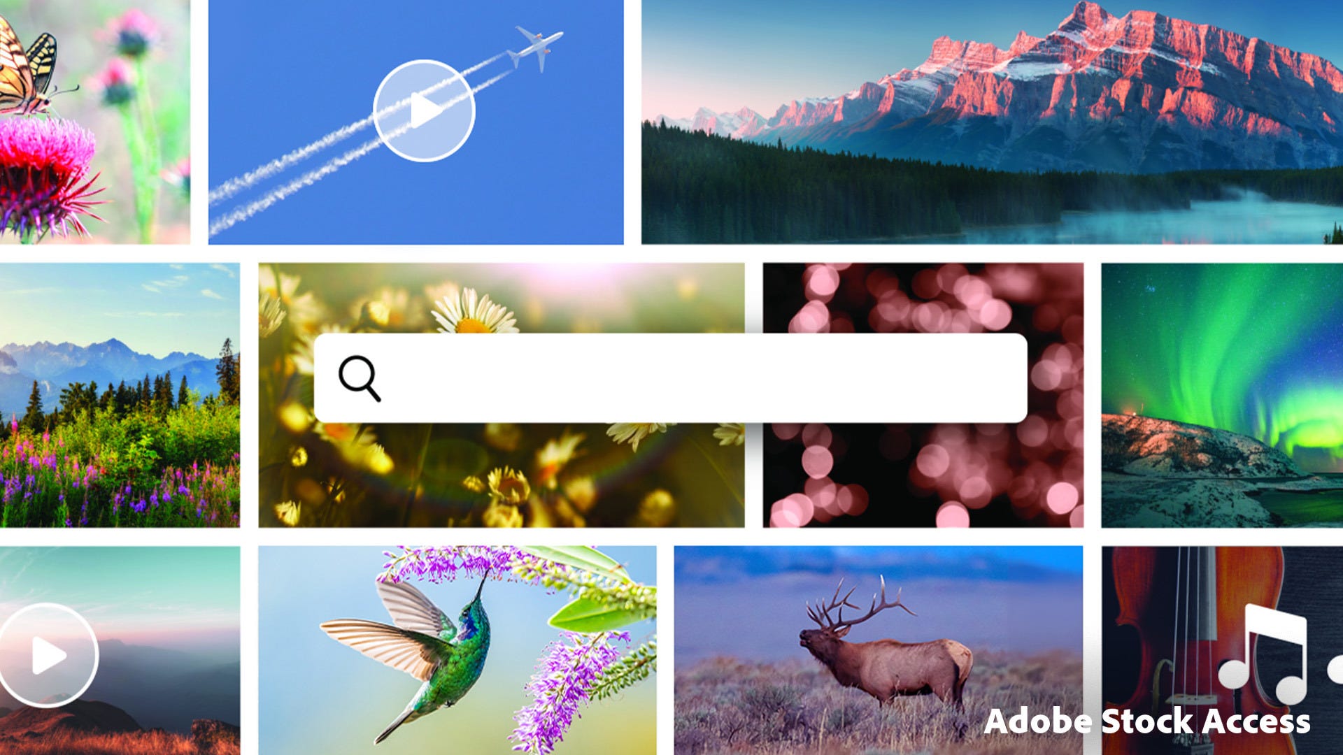 Adobe Premiere Elements 2026 stock media