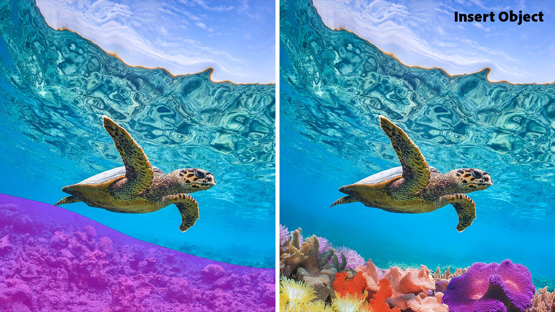 Adobe Photoshop Elements 2026 object insert