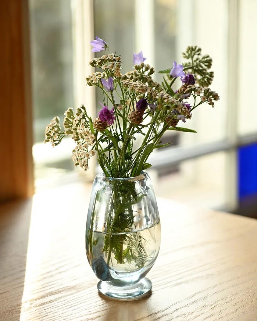 Nikon NIKKOR Z DX 16-50mm Lens performance