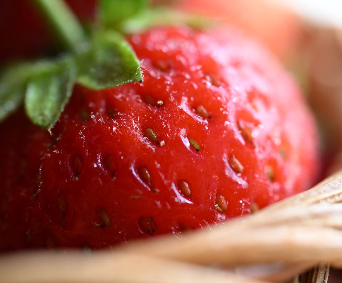 Nikon NIKKOR Z DX MC 35mm Lens magnification