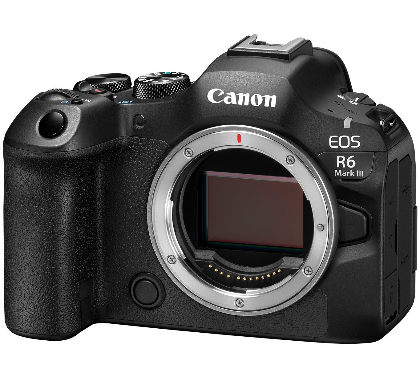 Canon EOS R6 Mark III Mirrorless Camera Image Quality