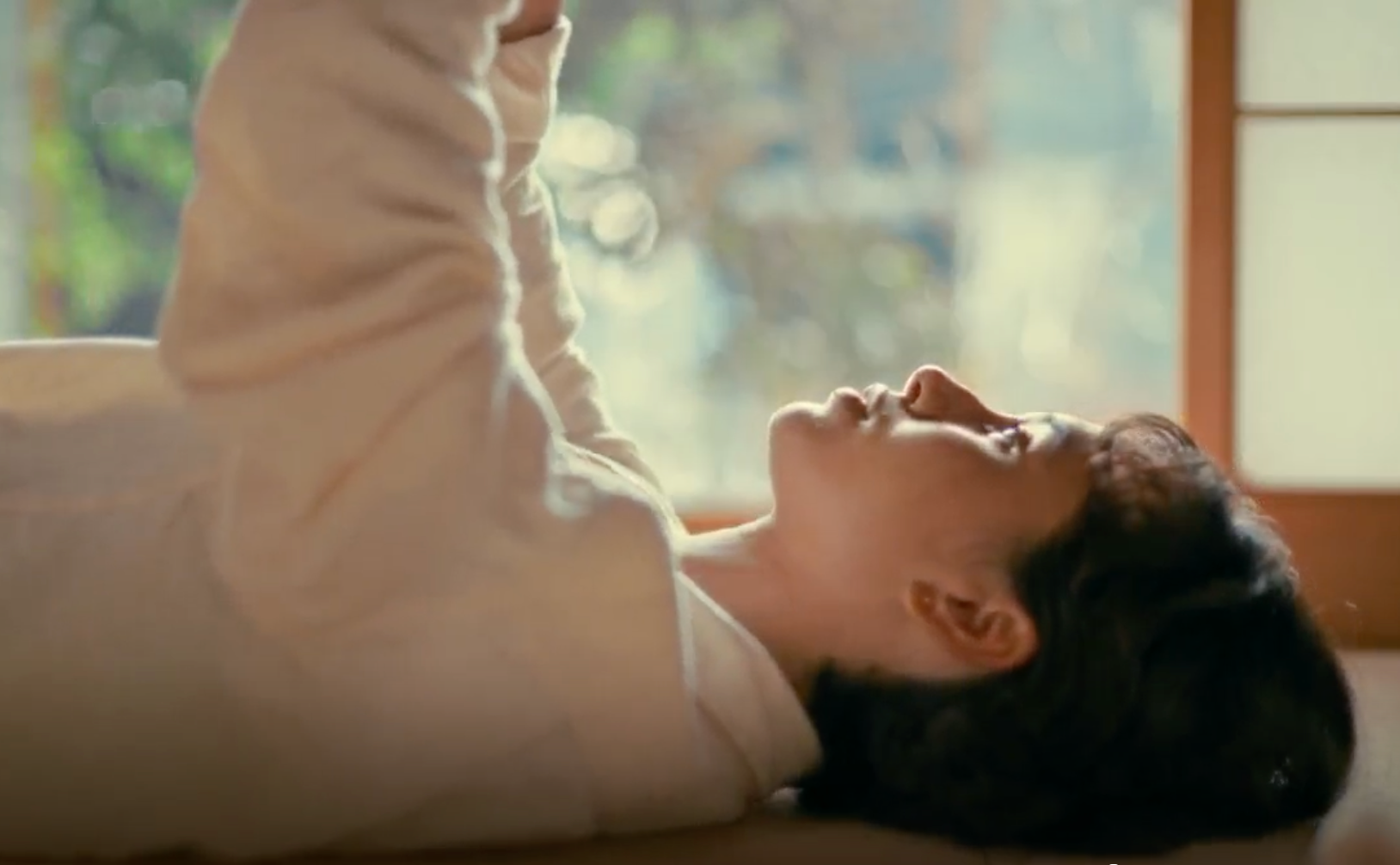 Canon RF 45mm F1.2 STM Lens wide aperture