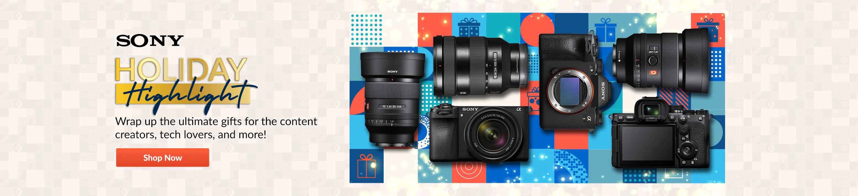 Holiday Highlight 11/17 - Sony