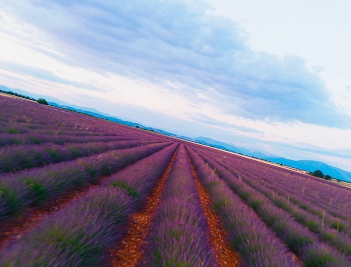 True Vertical Shooting