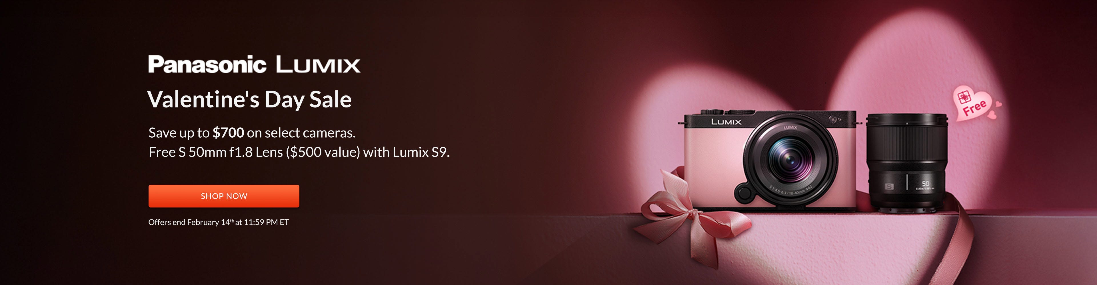 Panaosnic Lumix Valentine Specials - End 2.14
