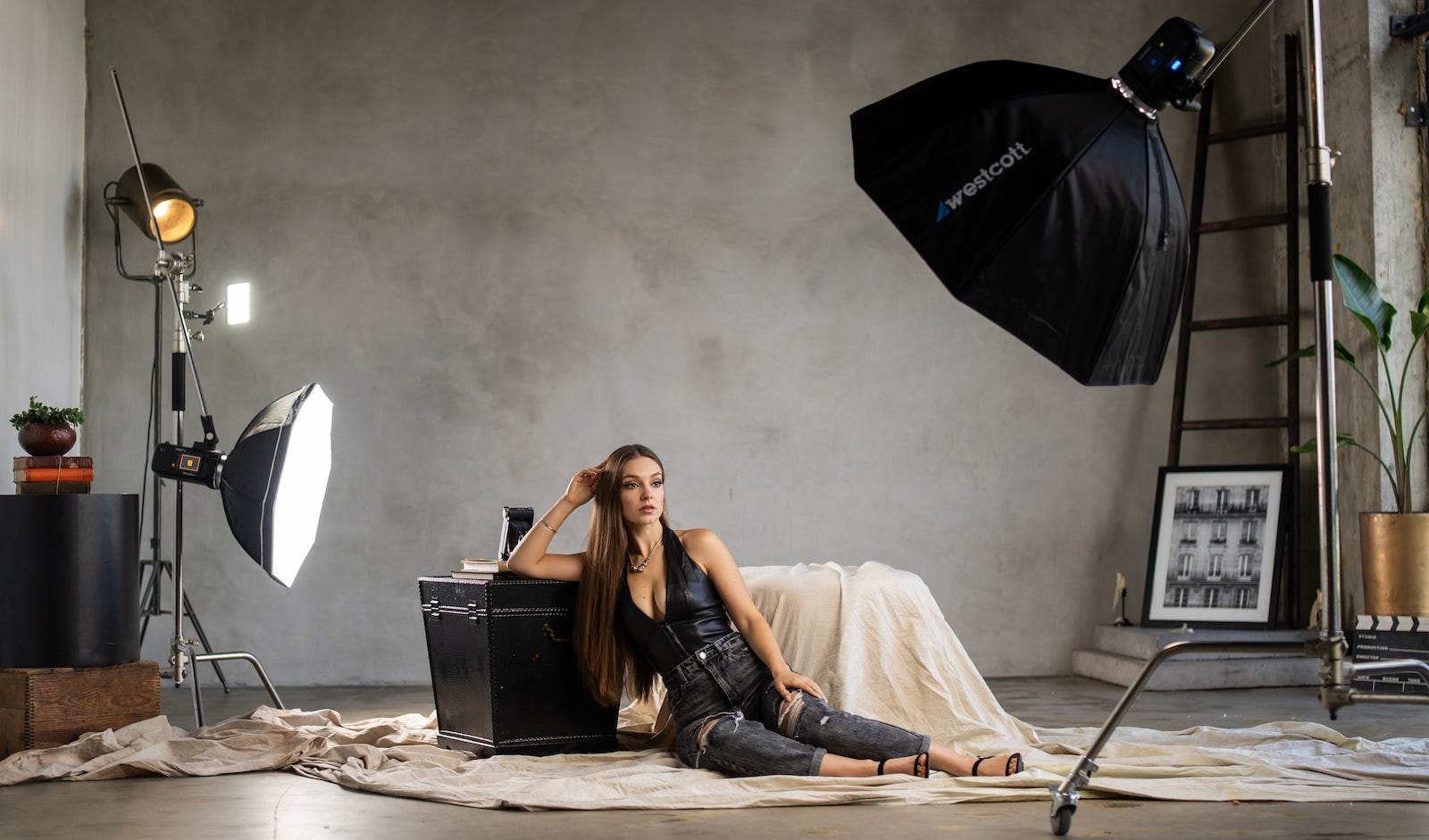 Westcott FJ250 Touchscreen Strobe features