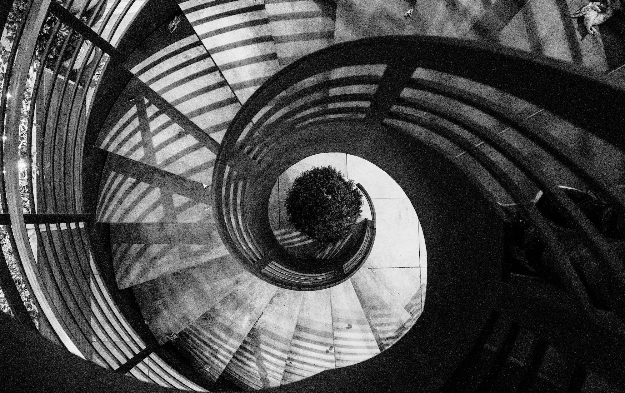 Ricoh GR IV Monochrome 2nd image