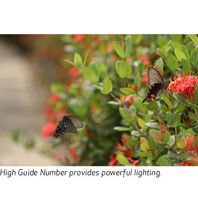 Maximum Guide Number 85.3 ft./26m* at ISO 100