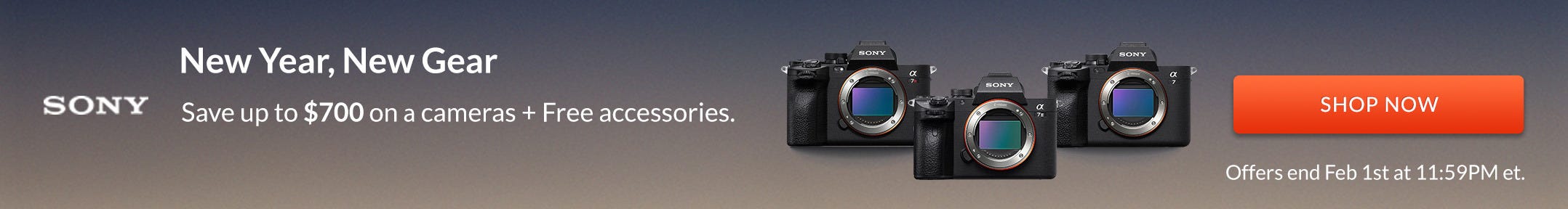 Sony New Year promo