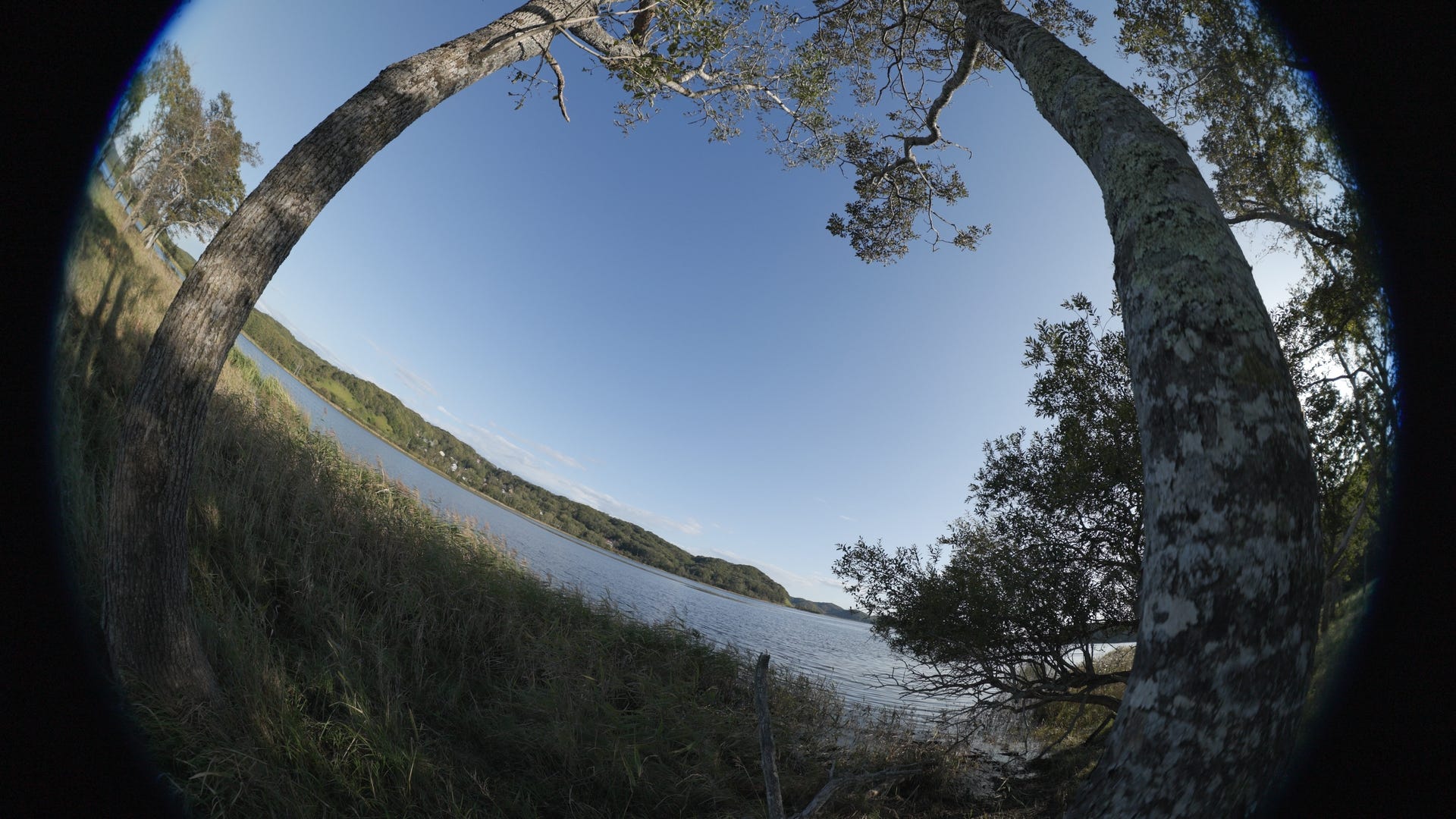 Canon RF 7-14mm FISHEYE STM Lens zoom range