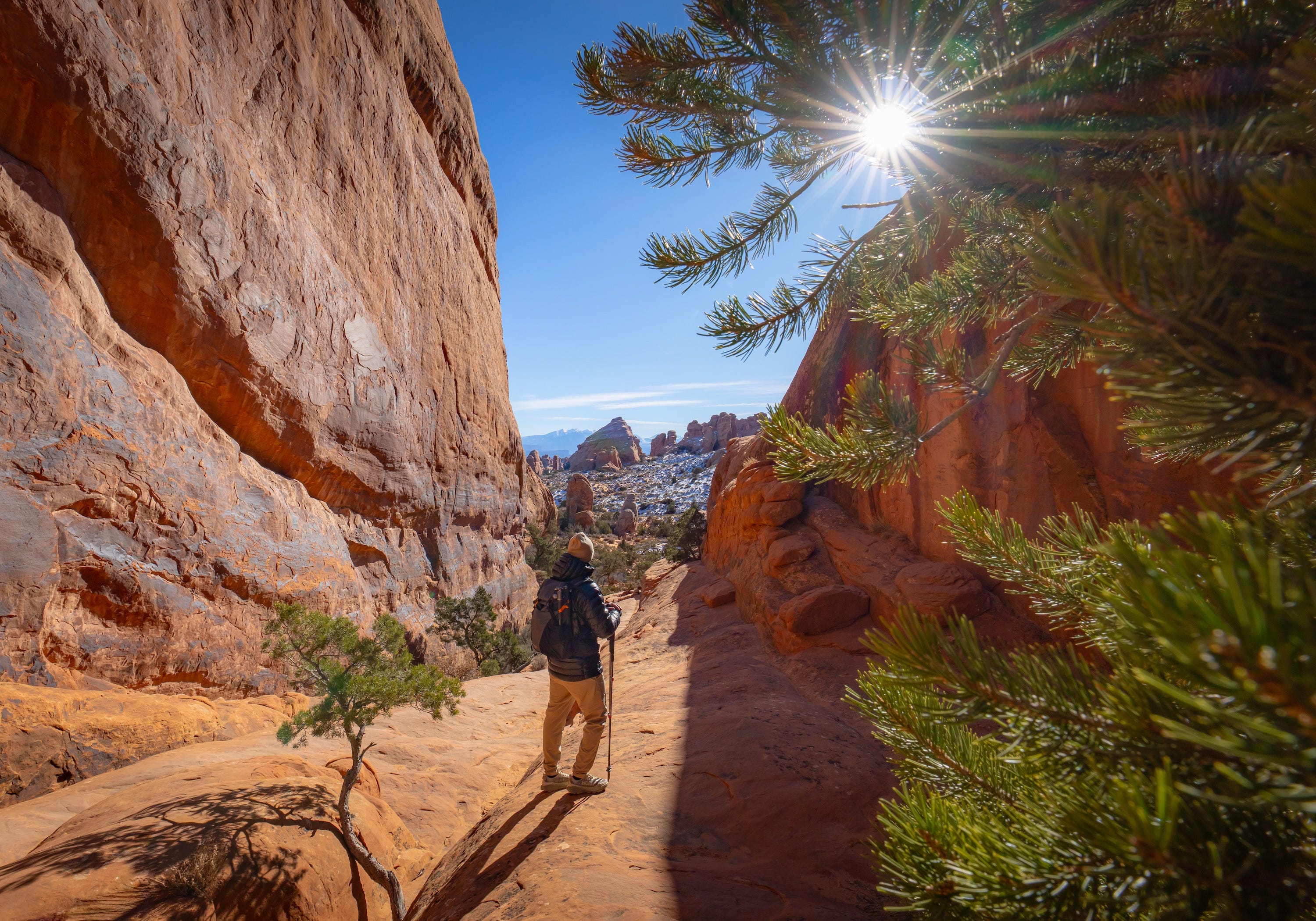 Canon RF 14mm VCM Lens Filtered Content