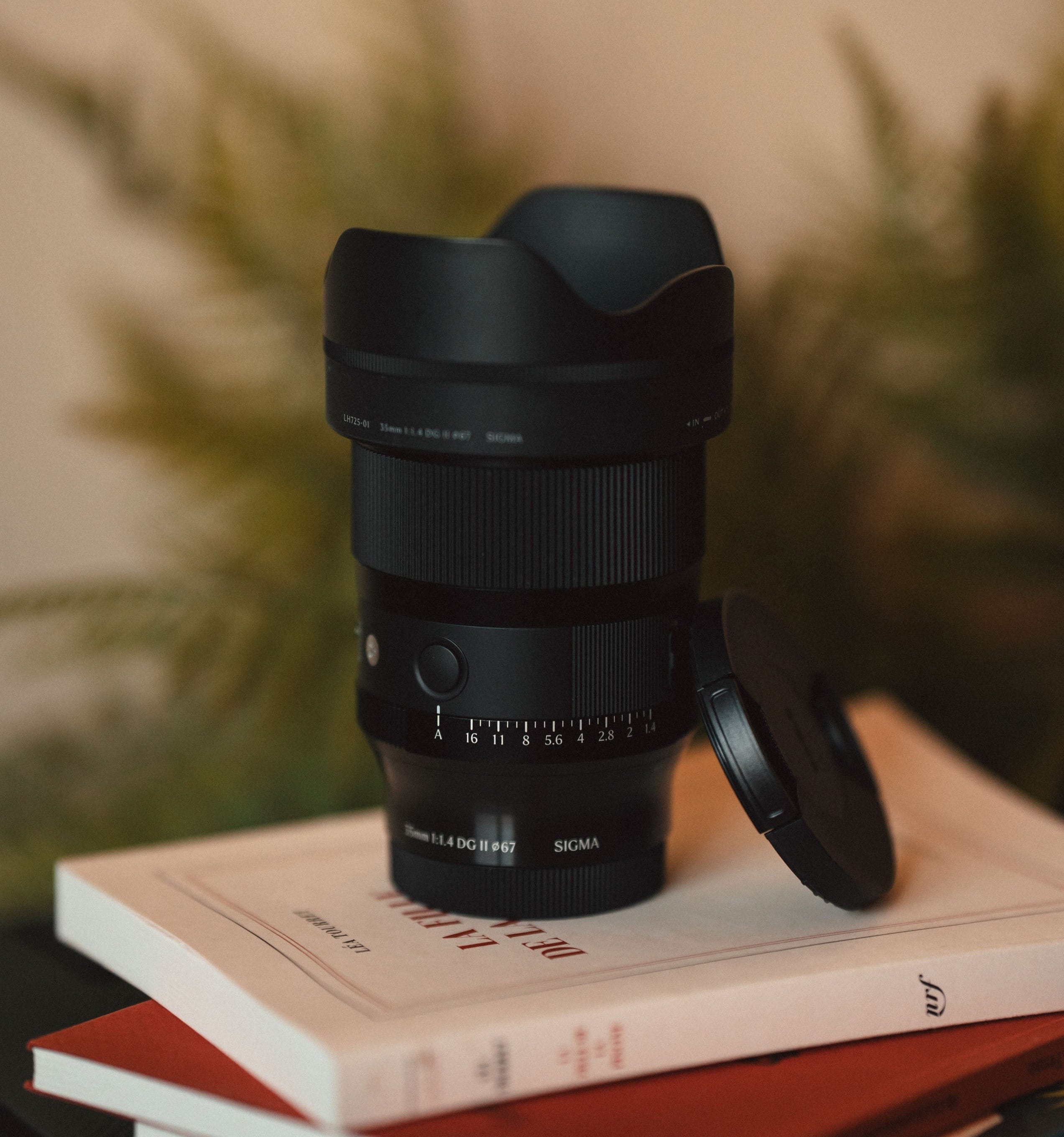 Sigma 35mm lens assist functions