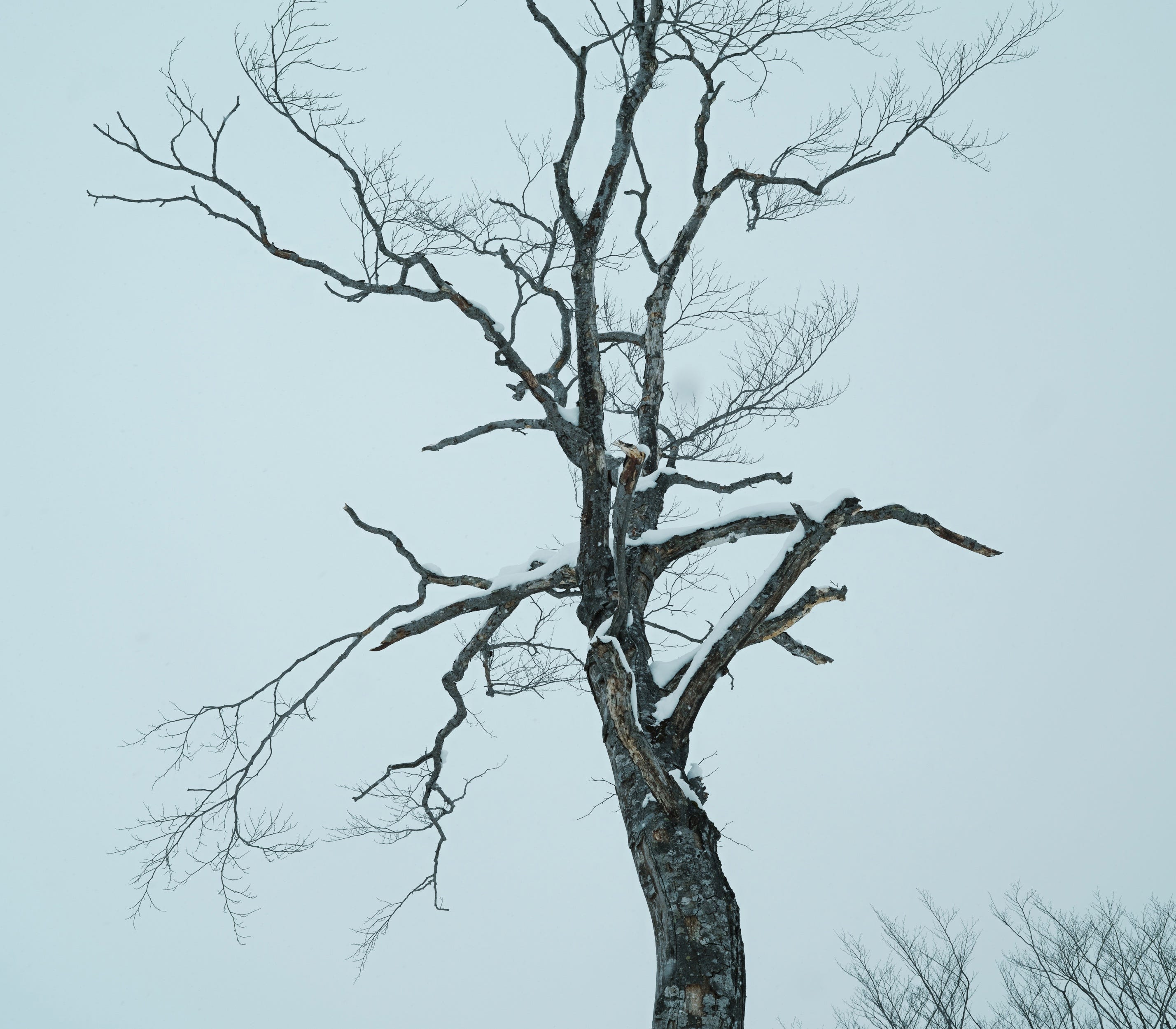 Sigma 35mm lens waterproof