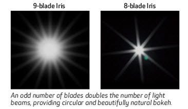 9-blade Iris
