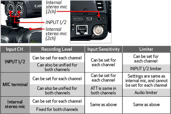 Flexible Audio Inputs