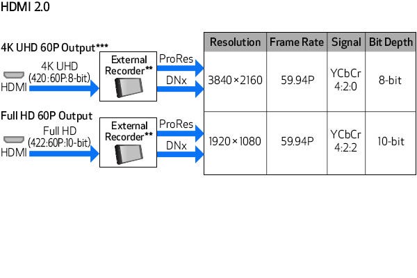 HDMI 2.0 Terminal with 4K UHD 60p Output Support