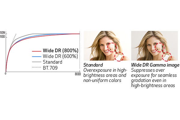 Wide DR Gamma (800%) Support