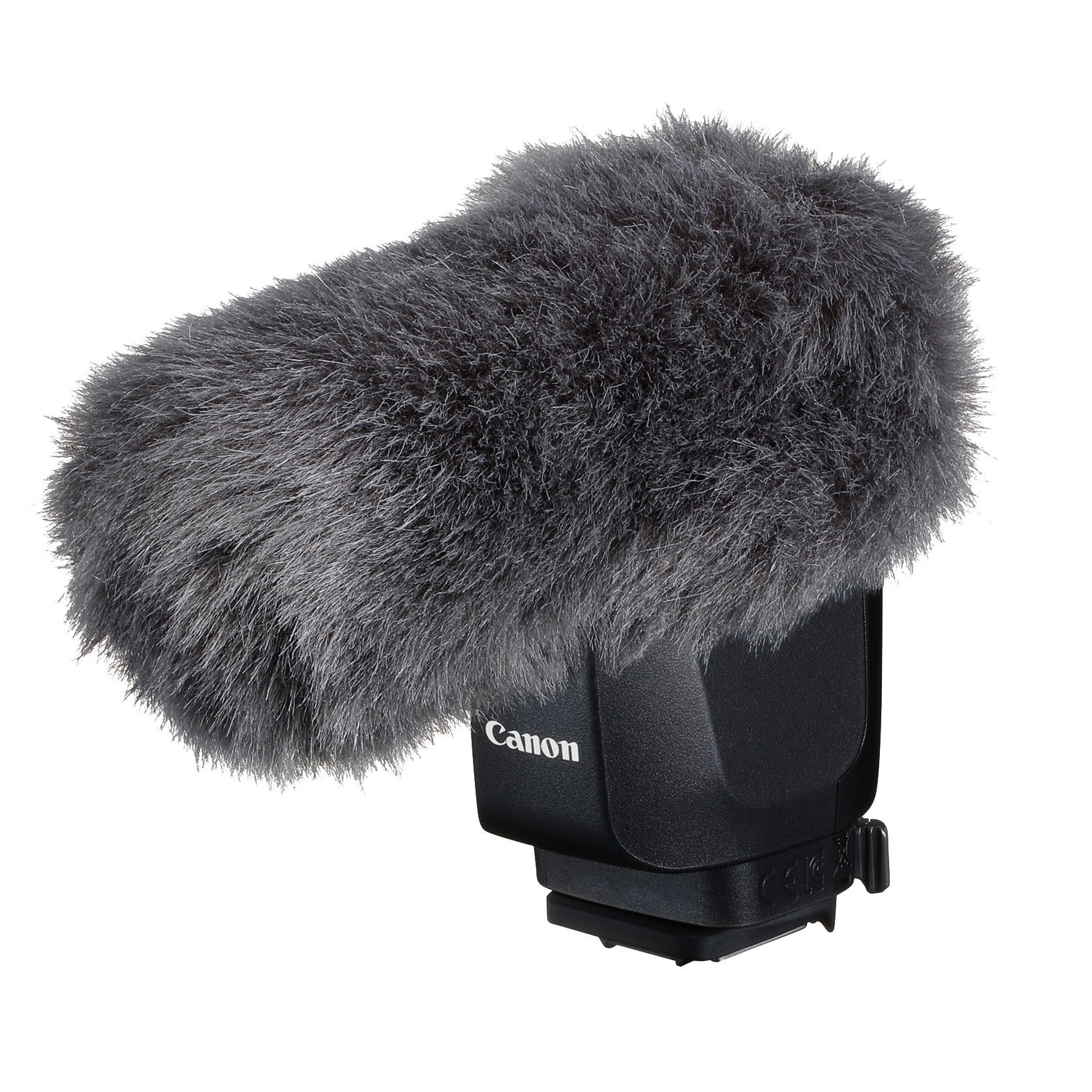 Canon EOS R50 V Video Creator Kit microphone