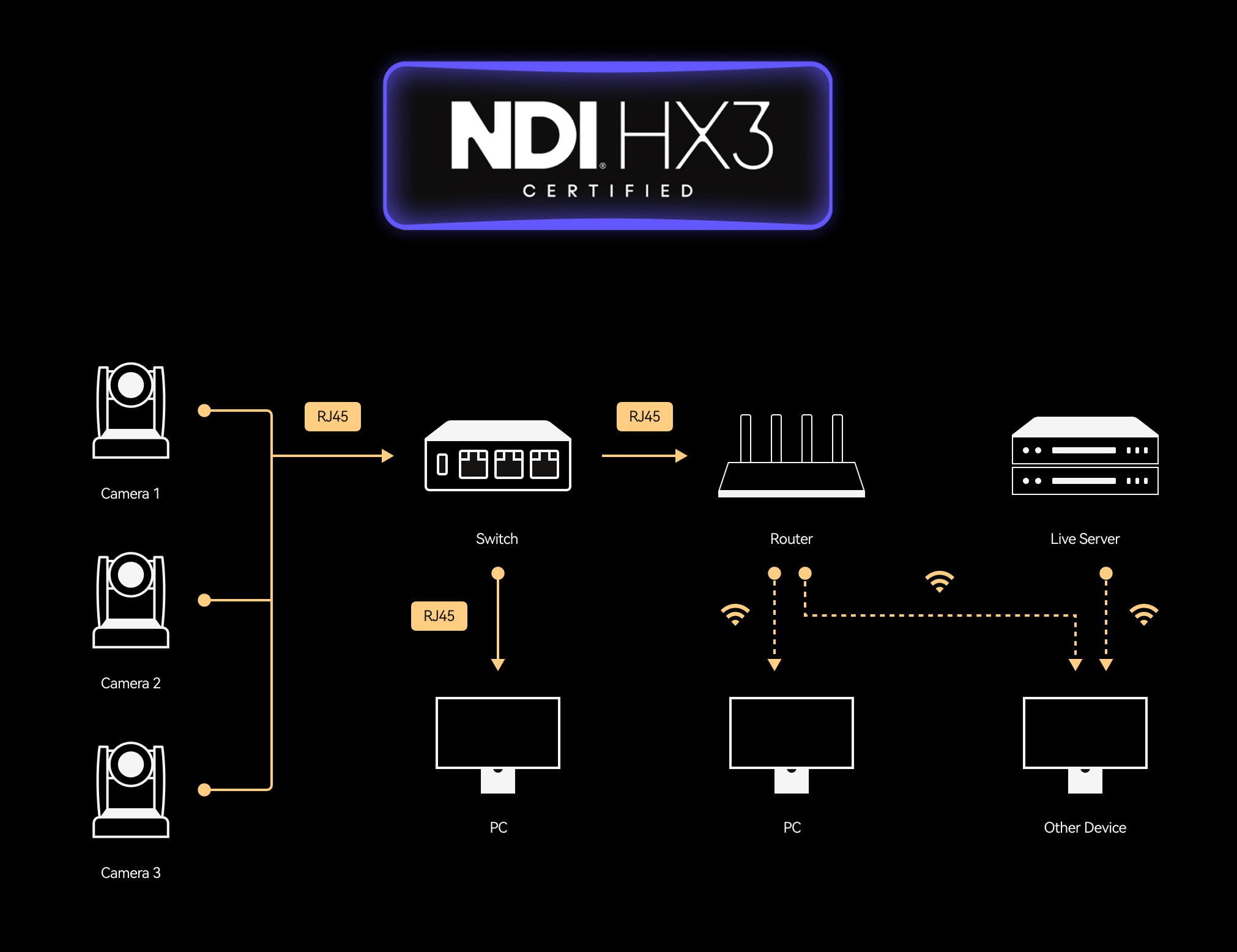 Hollyland Astra P1 NDI HX3 Support