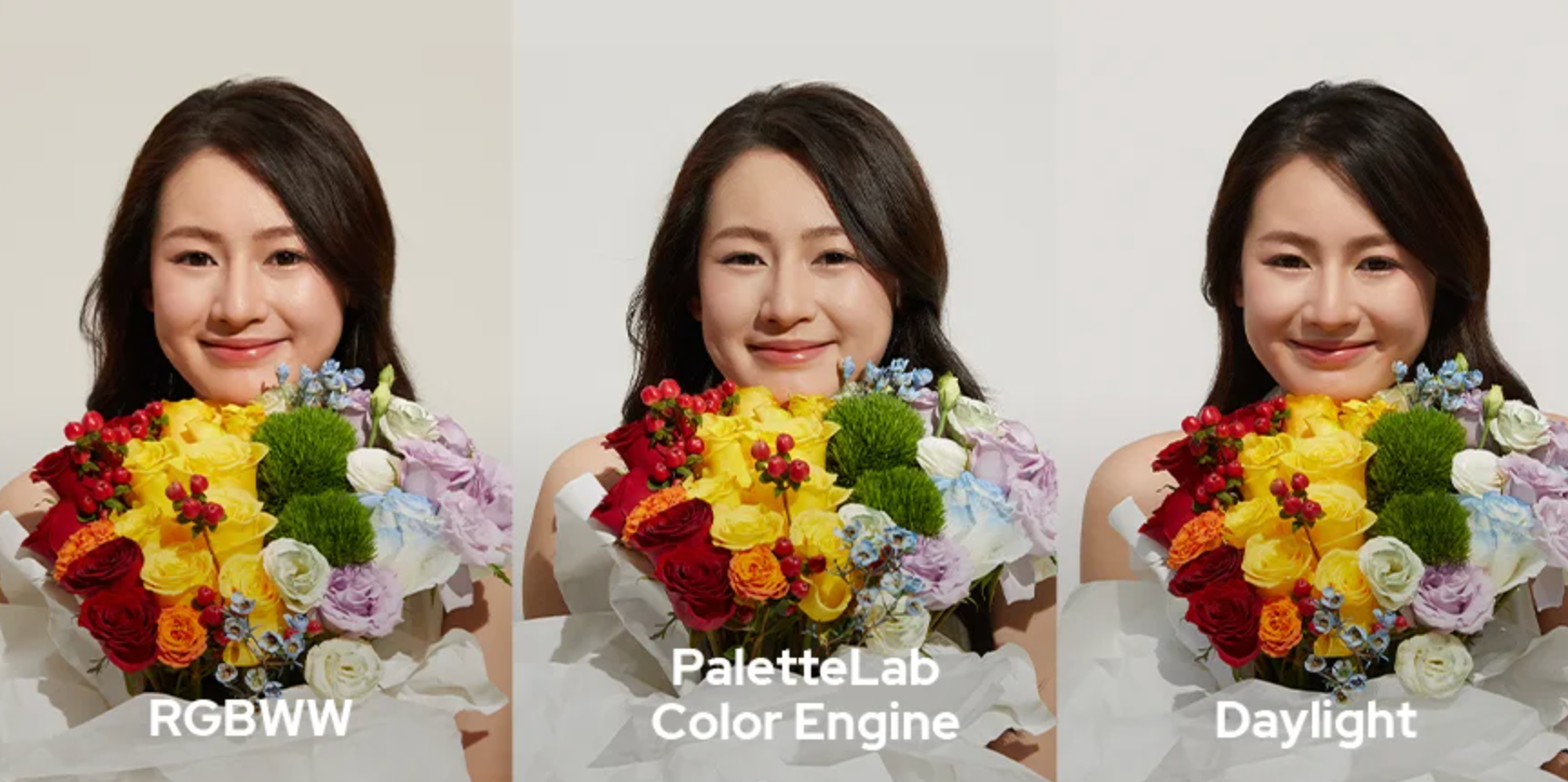 PaletteLab color engine