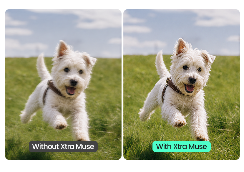 XTRA EDGE Muse 4K Action Camera gimbal stabilization