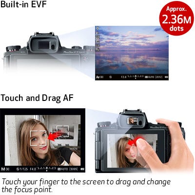 evf