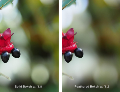 bokeh