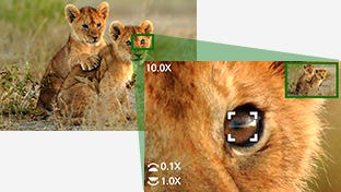 AF Point Scope