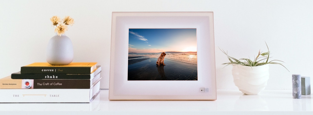 aura digital frame comparison