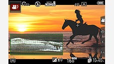 Wave Form Monitor & Vectorscope