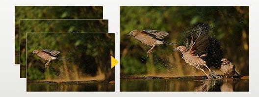 4K PHOTO Sequence Composition