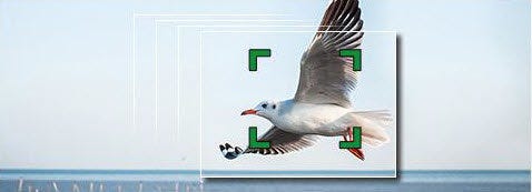 Ultra High-Speed Focusing