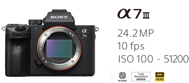 sony a73