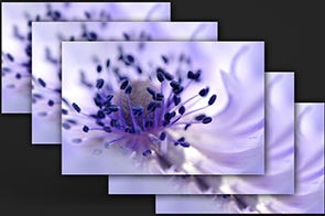 Focus Bracketing