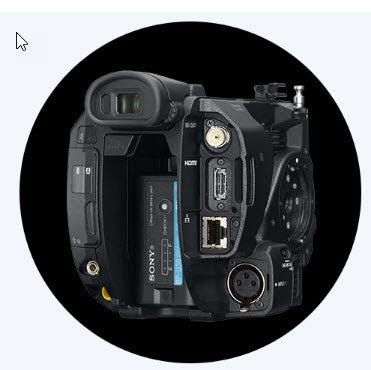 Dual XLR inputs