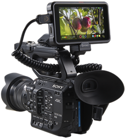 Ultimate Pro-Video & Broadcast Monitor