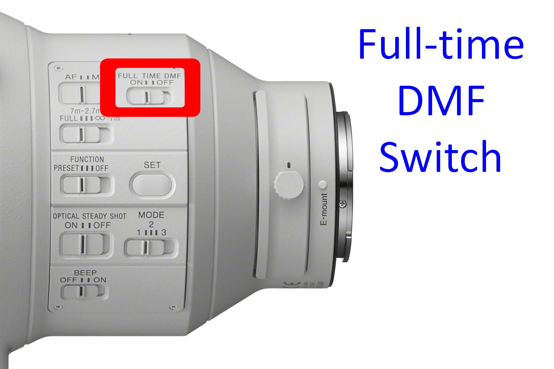Full-time DMF