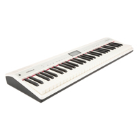 Roland Digital Go:Piano with A Picture