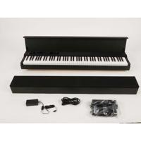 Korg 88 Key Lifestyle Digital  Picture