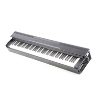 Casio PX-870 Privia 88-Key Dig Picture