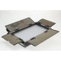Ikan Rayden Half x 1 Bi-Color  Picture