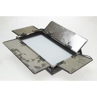 Ikan Rayden Half x 1 Bi-Color  Picture