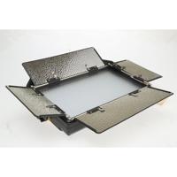 Ikan Rayden Half x 1 Bi-Color  Picture