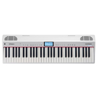 Roland Digital Go:Piano with A Picture