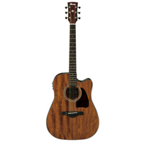 Ibanez Artwood Series AW54CE C Picture