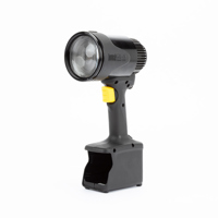 Lowel GL-1 Power LED Light, 30 Picture